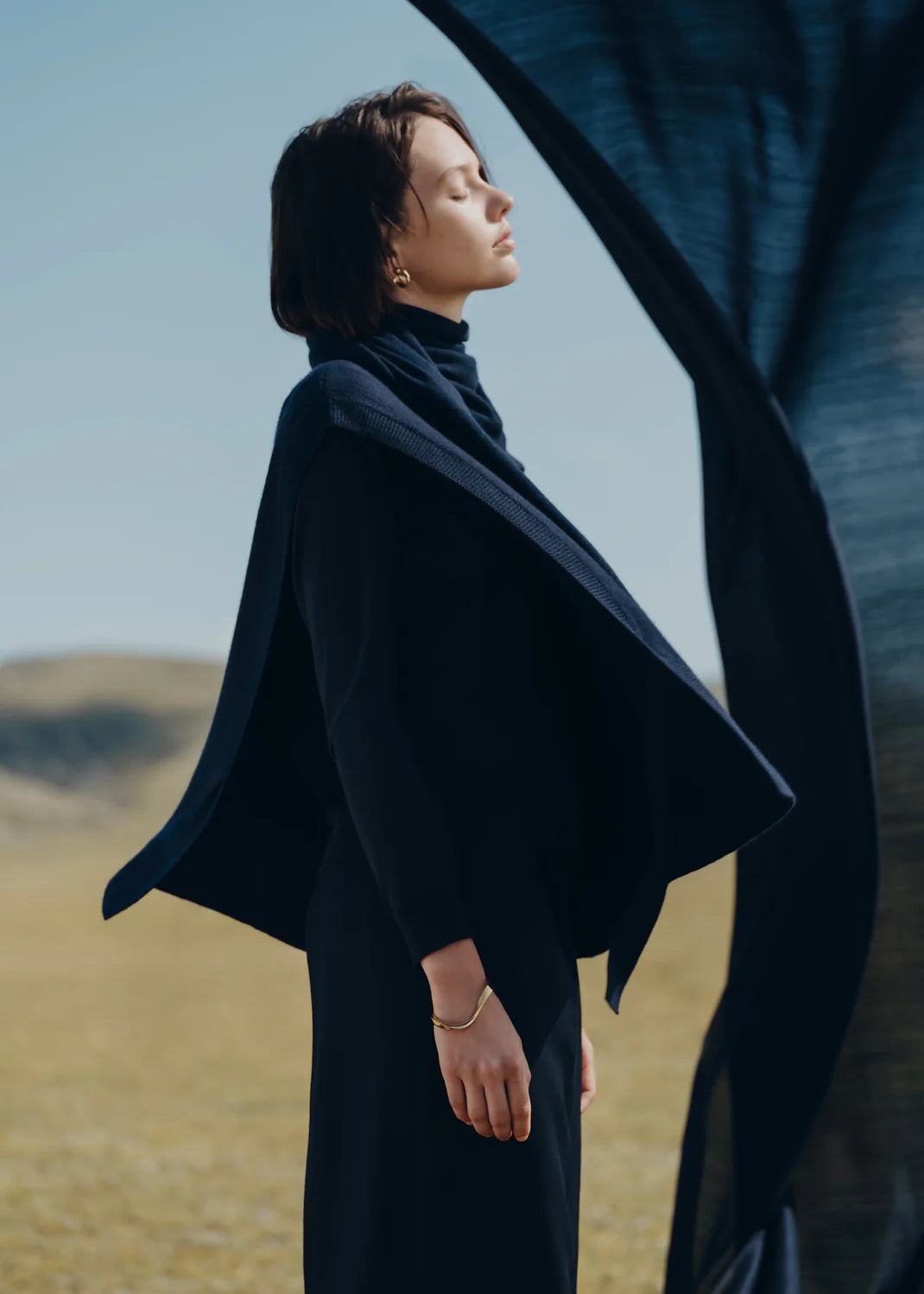 Edition gilded edition