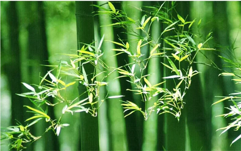 Hand-Knitted Chinese Bamboo Pendant Lamp – Elegant Weaving Chandelier for Home & Restaurant